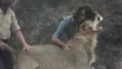 From www metacafe com 1231230 6596410 11