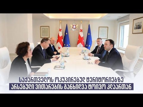 საქართველოს ოკუპირებულ ტერიტორიებზე არსებული ვითარების განხილვა ტოივო კლაართან
