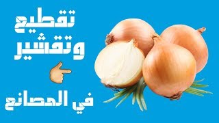 شاهد كيف يتم تقشير وتقطيع البصل في المعامل