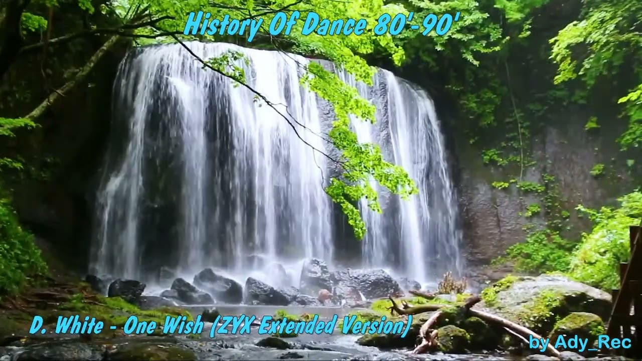 0394. D. White - One Wish (ZYX Extended Version) - Disco 80 - 90