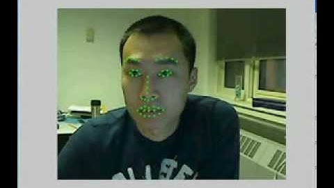 Supervised Descent Method (SDM) applied to face alignment