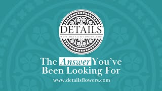 The Answer You've Been Looking For
