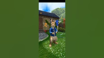 Peter Rabbit is running for tomatoes..   #youtubeshorts  #BoytoDevplaymanygame