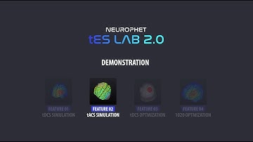 [tES LAB] tACS Simulation Demonstration