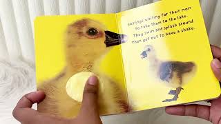 Priddy Books BABY ANIMALS Touch and Feel Board Book