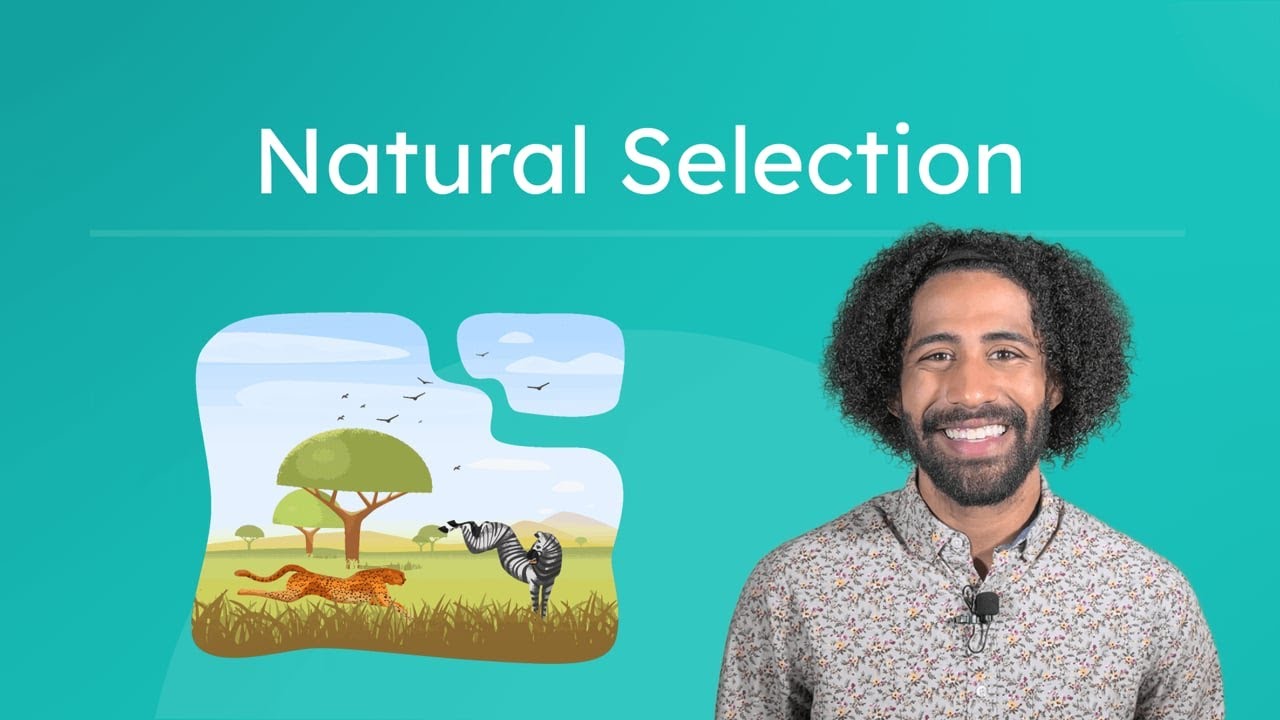 Natural Selection - Adaptations and Genetic Diversity - YouTube