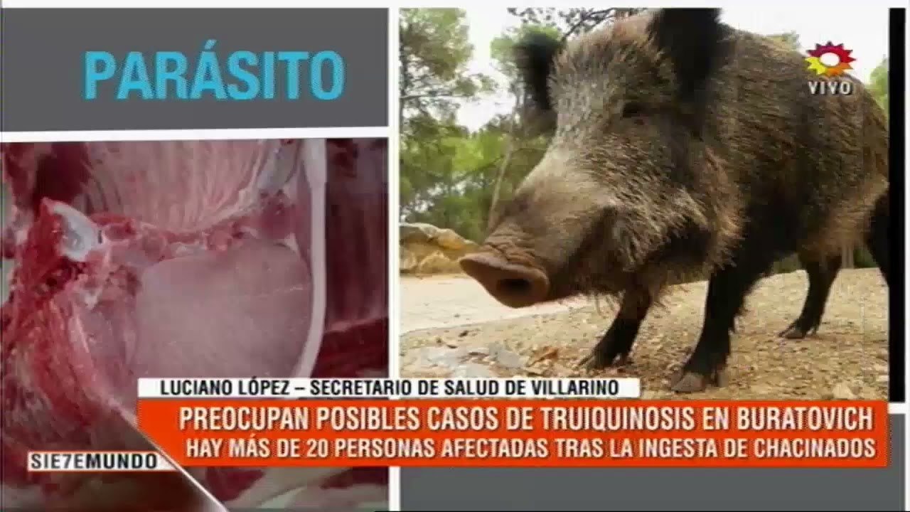 Triquinosis en Buratovich. Hay 20 casos sospechosos