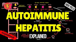 Autoimmune Hepatitis EXPLAINED: Pathogenesis, Symptoms, Diagnosis & Treatment (USMLE High-Yield)