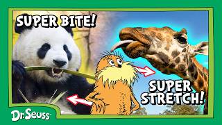 Animal Superpowers Explained! | Lorax Nature Club | Full Episode | Dr. Seuss