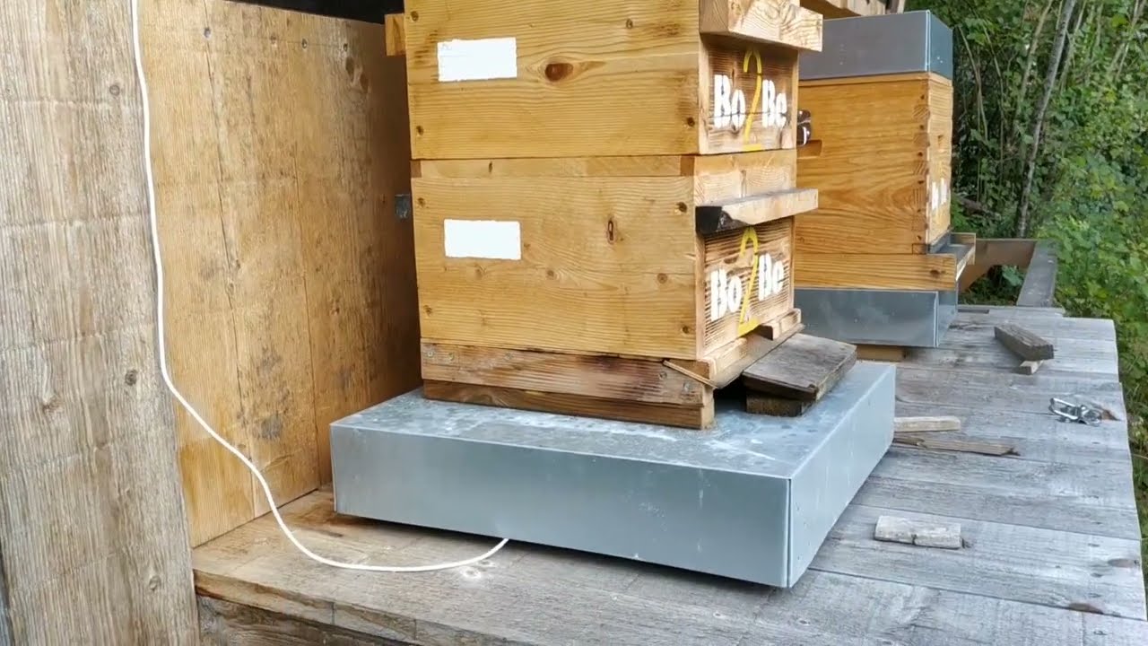 PESER SES RUCHES EN AMATEUR - #1