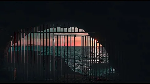 S3 E9 CORPORATE GOVERNMENT With Elizabeth Anderson