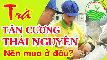 Trà Tân Cương Thái Nguyên - TC8 | Hợp tác xã Trà Xanh Thái Nguyên