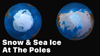 Snow & Sea Ice At The Poles - Visualization