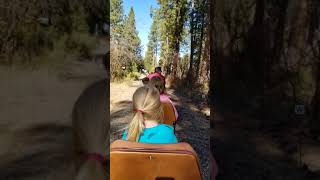 Train Mountain - Pumpkin Express 2019