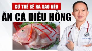 Cơ Thể Sẽ Ra Sao Khi Ăn Cá Diêu Hồng Thường Xuyên | Bác Sĩ Trần Minh