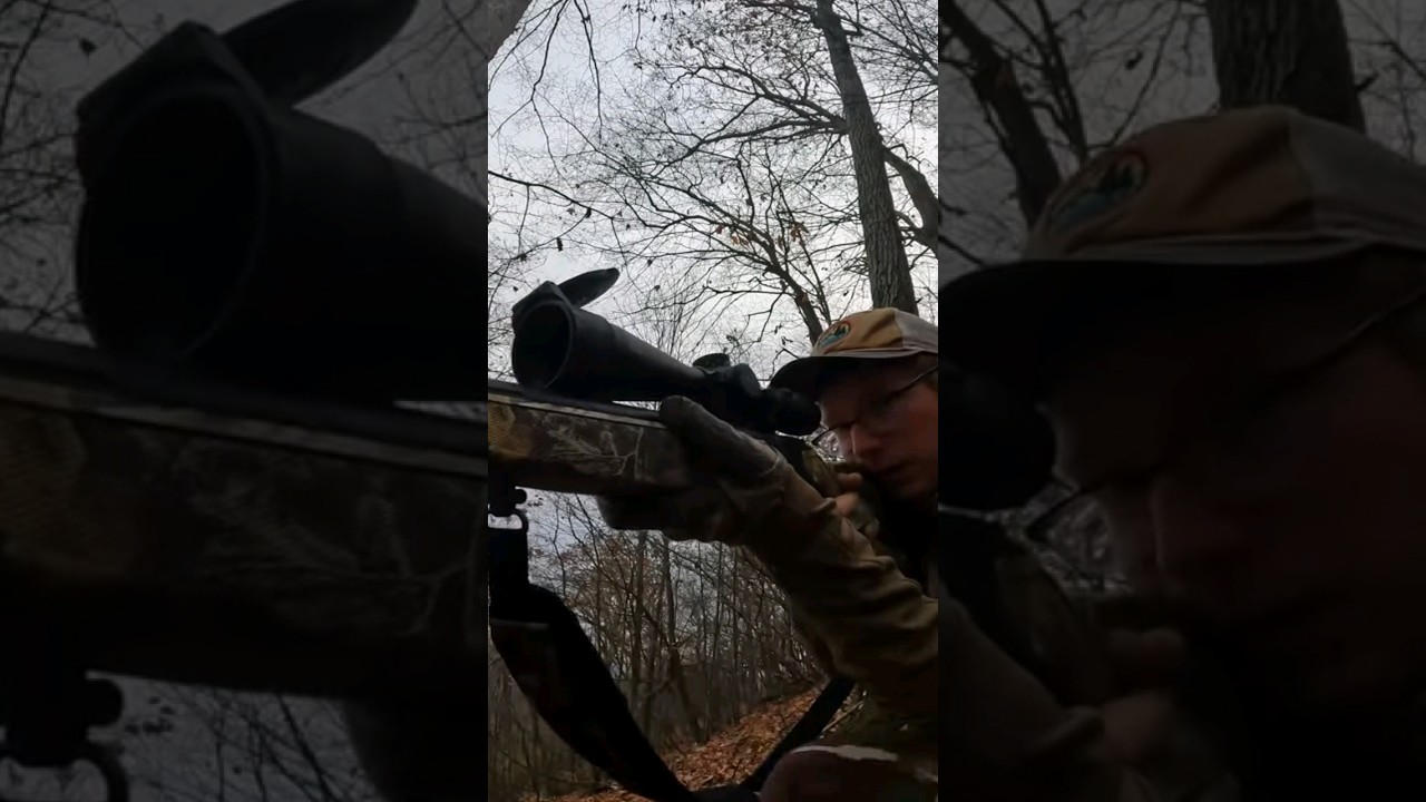 Bear Follows A Deer To Me, Virginia Muzzleloader Hunt 