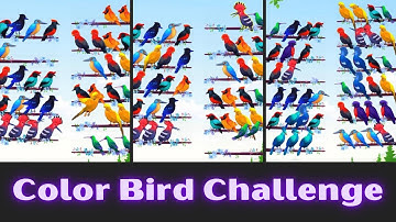Color Bird Sort Puzzle Game  Challenge Gameplay Level 71 To 80