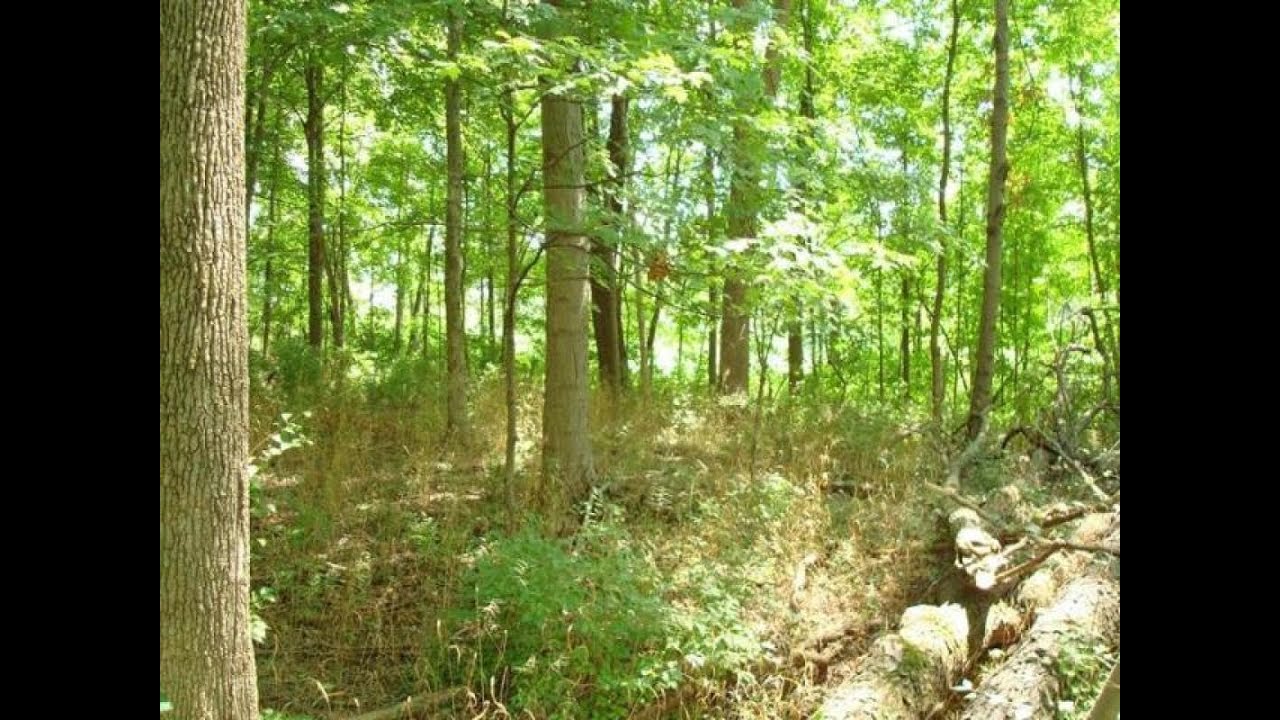 Homes for Sale 18 Sherilyn Ln, Stonelick Twp, OH 45103 YouTube