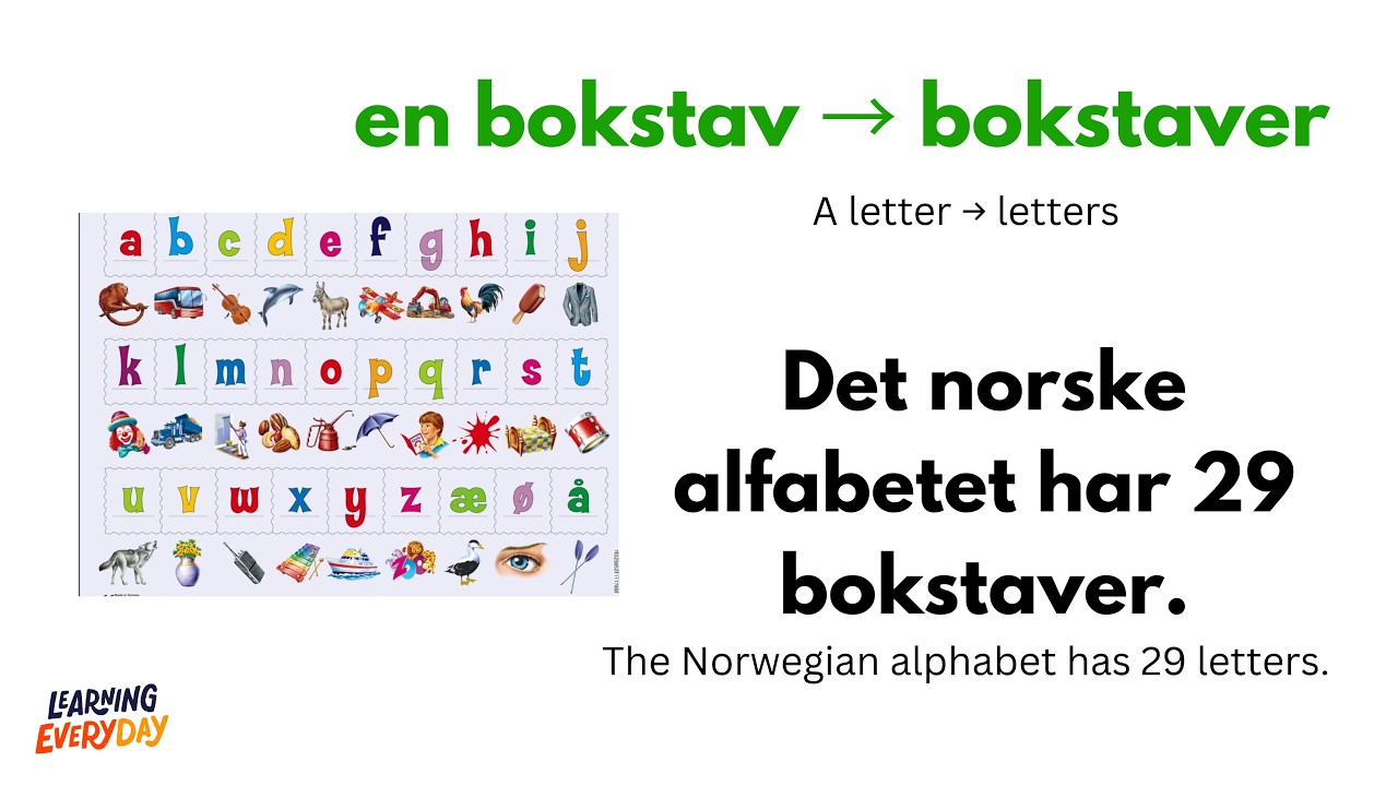 100 Must-Know Norwegian Plurals for Beginners | Learn Norwegian Vocabulary with Examples