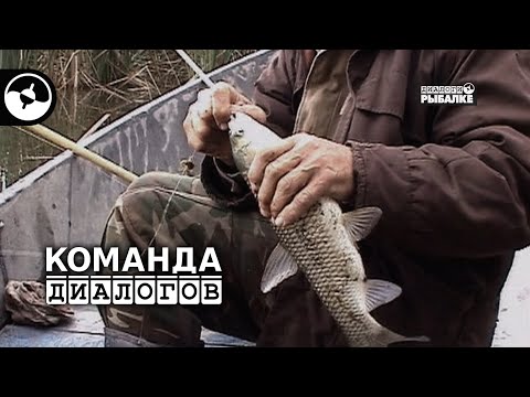 Ручьевая форель и белый амур | Классика