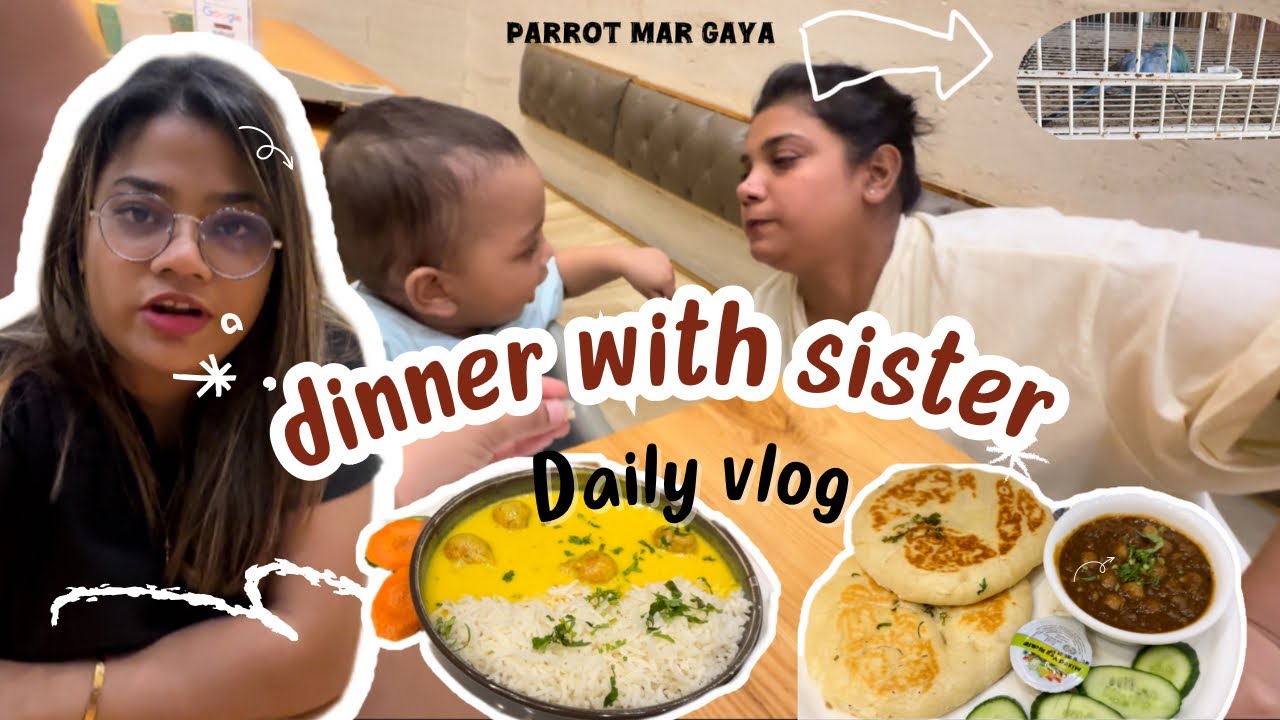 Daily vlog | dinner with sister | parrot mar gaya 😢 | Noah ney machaya shor 🤫 | Anna Life Style