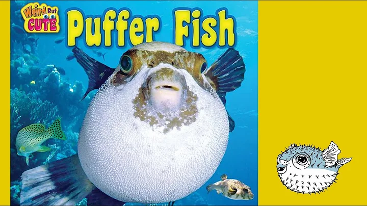 Puffer Fish By Joyce Markovics | Educational Books About Animals - DayDayNews