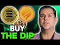 5 Coins Who Give 100x Are Now at Dips