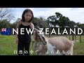 絶景トレイルと動物たち 森と川とぬくもりの時間【ニュージーランドの旅 EP2】