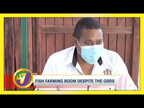 Jamaican Fish Farming