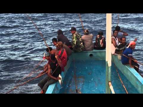 mancing-ikan-cakalang