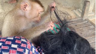 Nice Grooming & Finding Grandma Lice While She Sleep On Bed