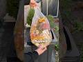 No Food Scraps In The General Waste Bin 