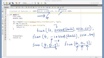 115 Moving the file pointer at any desired location using fseek