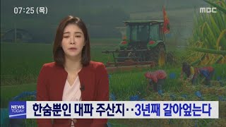 [다시보기] 목포MBC 뉴스투데이_20200213