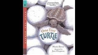 Read aloud Story: One Tiny Turtle by Nicola Davies