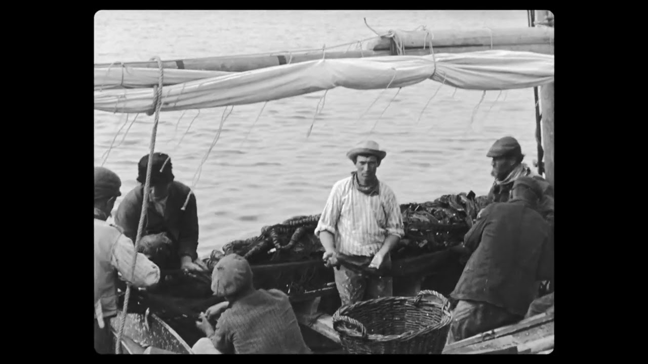 Sardine fishing (1896)
