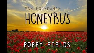 Van Rockman's Honeybus - Poppy Fields