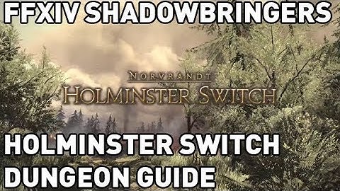 FFXIV: Holminster Switch Dungeon Guide