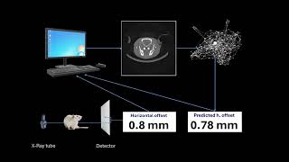 [AUTOML24] Transfer Learning by Ensemble Learning and Swarm Intelligence-based Neuroevolution