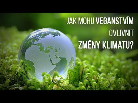 Video: Ovlivňuje Změna Klimatu Populace Blech A Klíšťat?