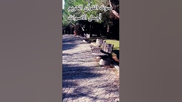 قران كريم 🤲😍بصوت جميل للشيخ اسلام صبحي#المصحف #اكسبلور #راحة_نفسية#المصحف#تيك_توك 😍🤲🌺 #dosa