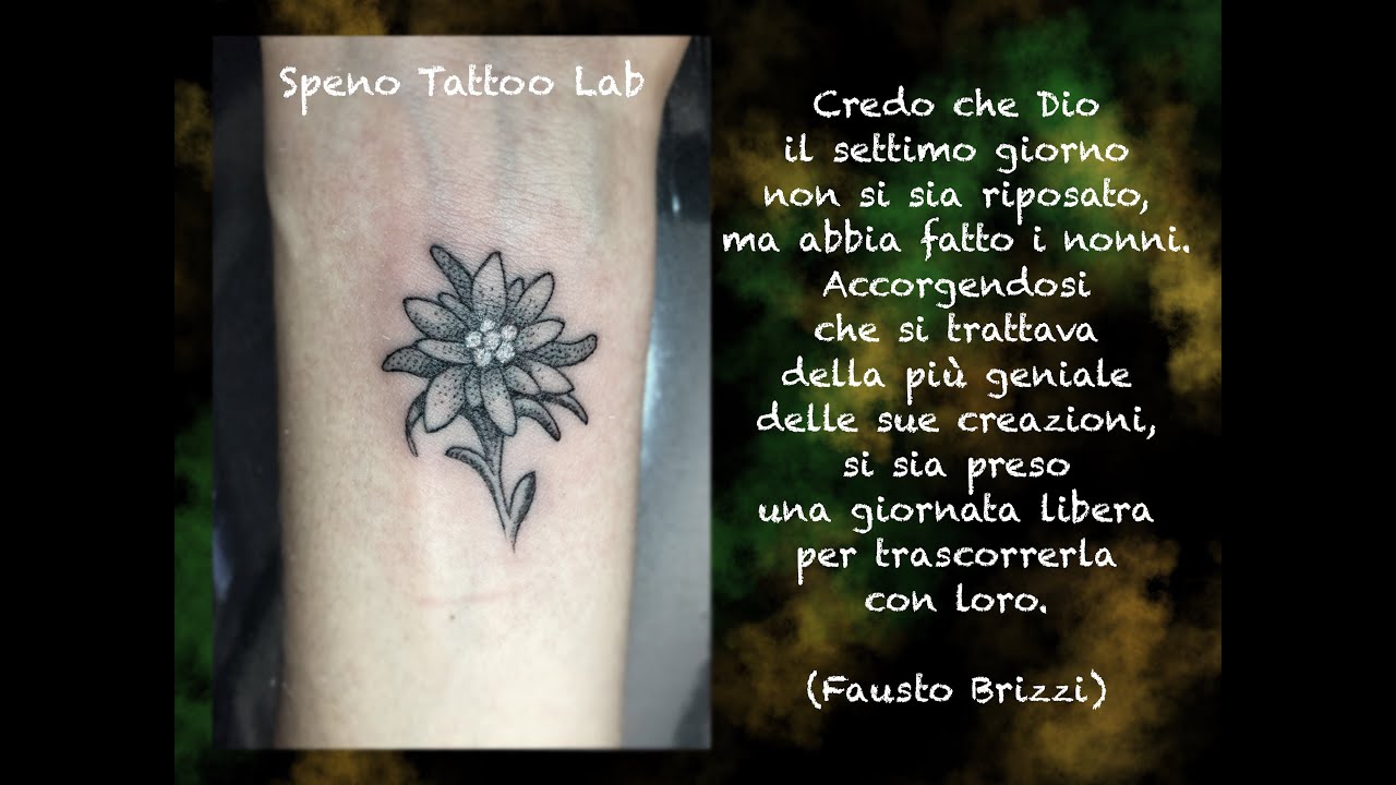 Speno Tattoo Lab Stella Alpina Time Lapse Youtube