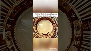 Anima Christi (JC 3) - Mystic Reflections，Color，or Images captured in Adorations。June 10，2026