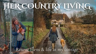Rescuing Chickens: Life from my fairytale thatched cottage in Wiltshire