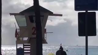 HAWAI'I MEDICAL CANNABEES WATCH BUZZ’N BUDDIES SIGHTSEEING WITH A BUZZ. WE'DBEE BUZZ'N WAIKIKI