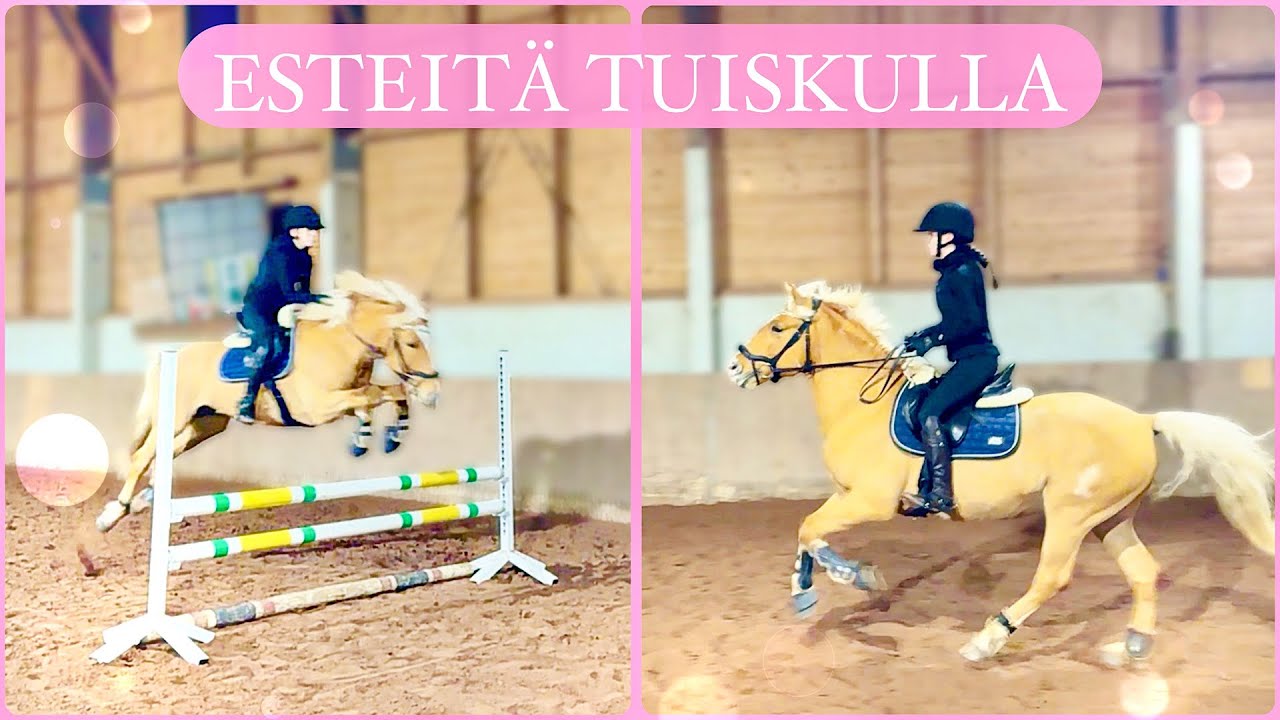ESTEITÄ TUISKULLA😎 |tallimyday|