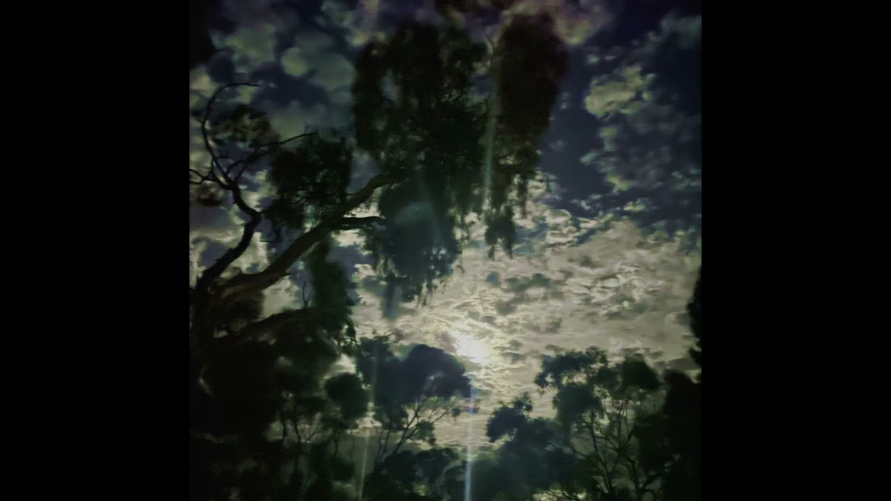 [FREE] Emo Fruits x Lil Peep Guitar Type Beat "Grayskies"