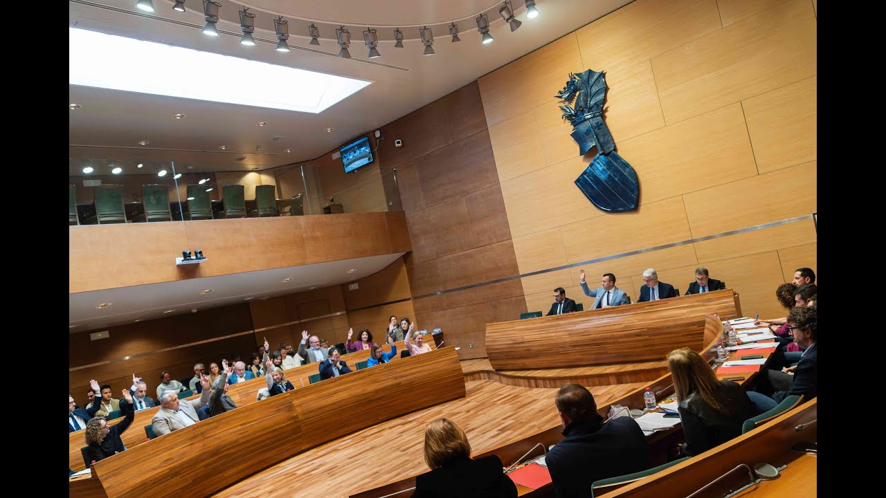 Ple extraordinari sobre la gestió del servici de teleassistència