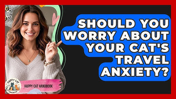 Should You Worry About Your Cat