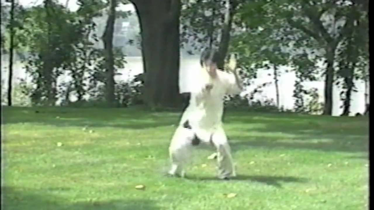 Choy Li Fut - Siu Mui Fa - by Grandmaster Doc-Fai Wong - 1986